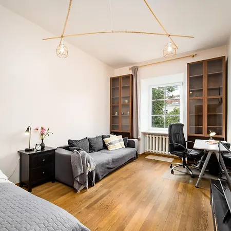 Apartment Heart Of Senamiestis W King Bed, Full Kitchen *